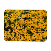 Geel veld van Daisies - Bloem - Magnet Magneet (Horizontaal)