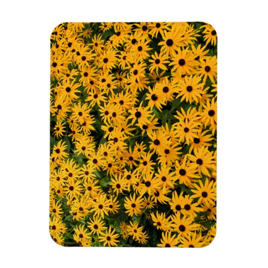 Geel veld van Daisies - Bloem - Magnet Magneet (Verticaal)