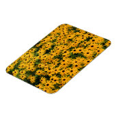 Geel veld van Daisies - Bloem - Magnet Magneet (Linkerzijde)