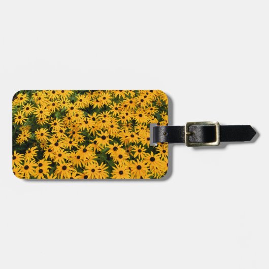 Geel veld van het Bagagelabel van Daisies (Voorkant horizontaal)