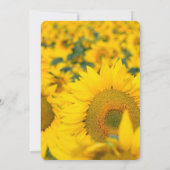 Geel veld van het zonnebloemen bruiloft kaart (Achterkant)