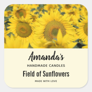 Geel veld van zonnebloemen Fotokaars Vierkante Sticker