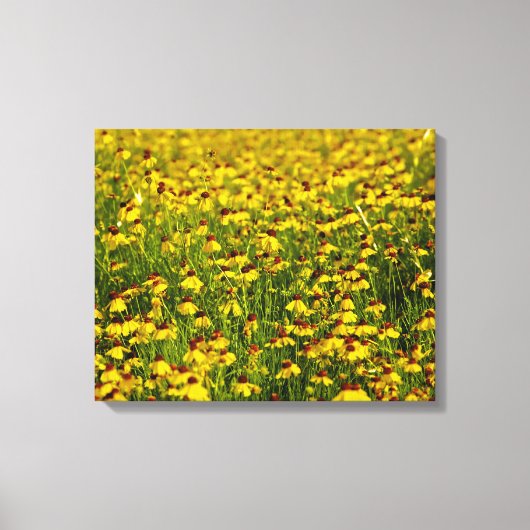 Geel veld Wildbloemen Fotocanvas Canvas Afdruk (Voorkant)