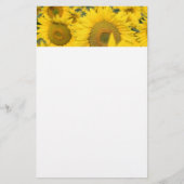 Geel veld Zonnebloemen Foto Briefpapier (Voorkant)