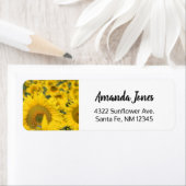 Geel veld Zonnebloemen Foto Etiket (Insitu)