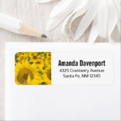 Geel veld Zonnebloemen Foto Etiket (Insitu)