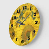 Geel veld Zonnebloemen Foto Grote Klok (Hoek)