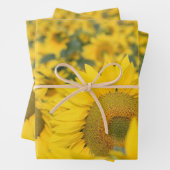 Geel veld Zonnebloemen Foto Inpakpapier Vel (In situ)