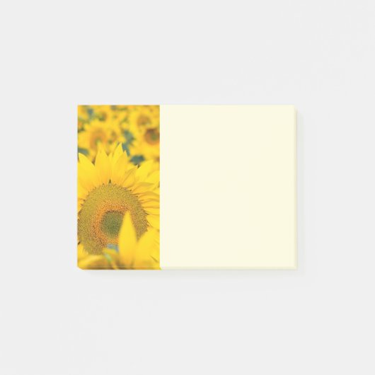 Geel veld Zonnebloemen Foto Post-it® Notes (Voorkant)