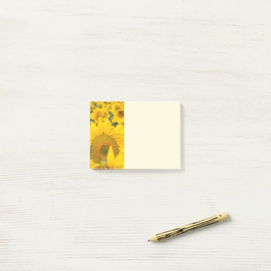 Geel veld Zonnebloemen Foto Post-it® Notes (Op bureau)