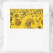 Geel veld Zonnebloemen Foto Rechthoekige Sticker (Tas)