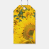 Geel veld Zonnebloemen Fotografie van de verjaarda Cadeaulabel (Achterkant)