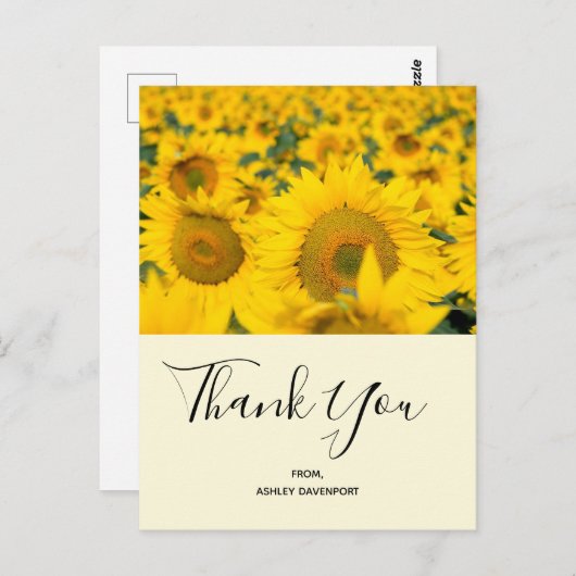 Geel veld Zonnebloemen Hartelijk dank Briefkaart (Voorkant / Achterkant)
