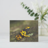Geel-verbonden giftendart Frog Dendrobates Briefkaart (Staand voorkant)
