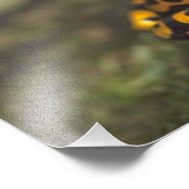 Geel-verbonden giftendart Frog Dendrobates Foto Afdruk (Hoek)