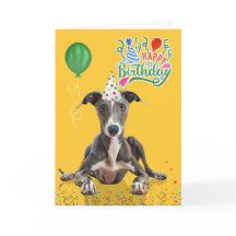 Geel verjaardagsfeestmuts voor Greyhound-hond