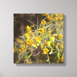 Geel vloerschilderCanvas Canvas Afdruk