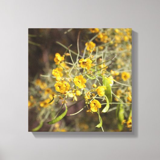 Geel vloerschilderCanvas Canvas Afdruk (Voorkant)