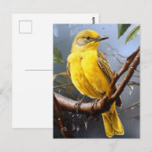 geel vogeltje briefkaart (Voorkant / Achterkant)