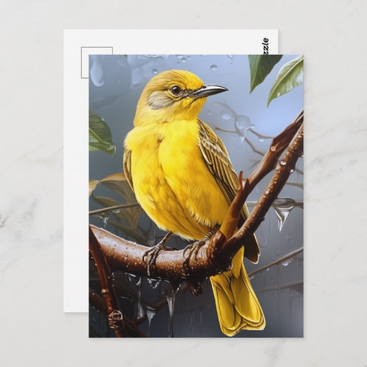 geel vogeltje briefkaart (Voorkant / Achterkant)