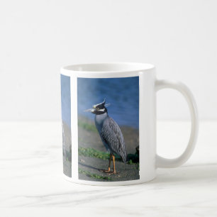 Geel-volle Night Heron Koffiemok