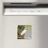 Geel-volle Night Heron Magneet (Insitu (Vaatwasser))