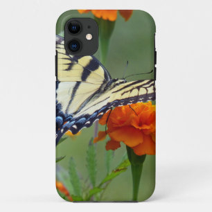 Geel vrouw oostelijke tijgermoerstaart iPhone 11 hoesje