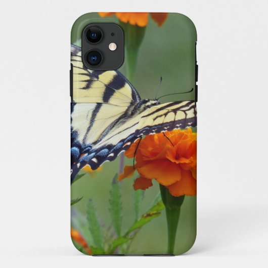 Geel vrouw oostelijke tijgermoerstaart Case-Mate iPhone case (Achterkant)