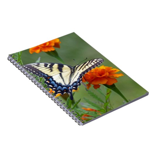 Geel vrouw oostelijke tijgermoerstaart notitieboek (Rechterzijde)