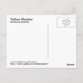 Geel Warbler Briefkaart (Achterkant)