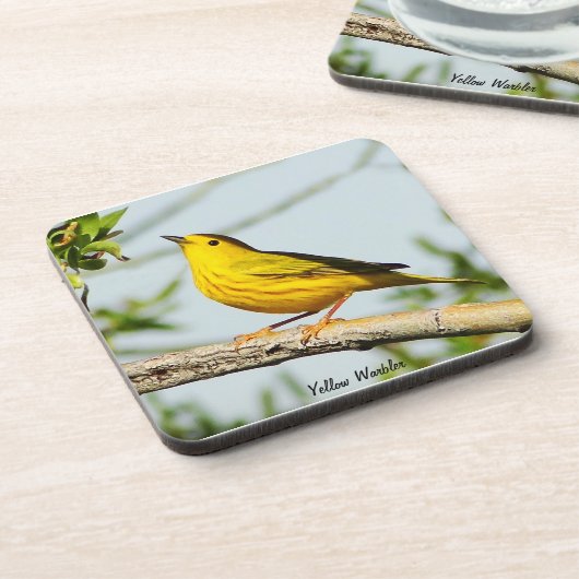 Geel Warbler Onderzetter (Linkerzijde)