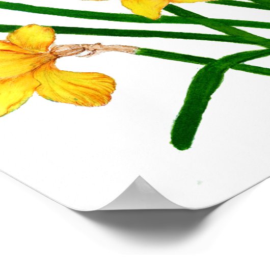 Geel Waterverf met deffodil Poster (Hoek)