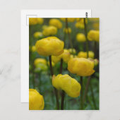 Geel Wereldbol Bloem Briefkaart (Voorkant / Achterkant)