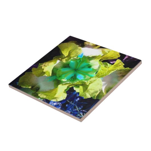 Geel, wit en groen Iris Flower Tegel Tegeltje (Zijkant)