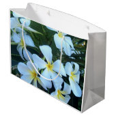 geel, wit, frangipani, bloem, natuur, zomer, groot cadeauzakje (Achterkant Gekanteld)