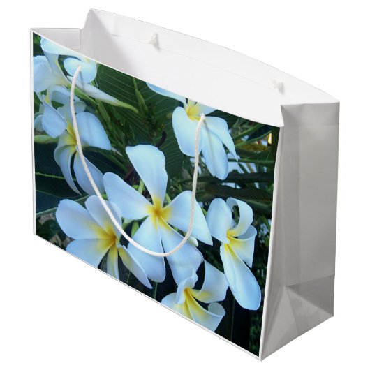 geel, wit, frangipani, bloem, natuur, zomer, groot cadeauzakje (Achterkant Gekanteld)