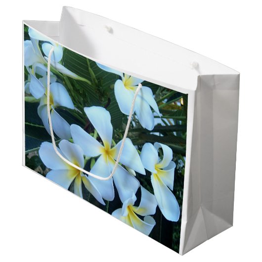 geel, wit, frangipani, bloem, natuur, zomer, groot cadeauzakje (Voorkant Gekanteld)