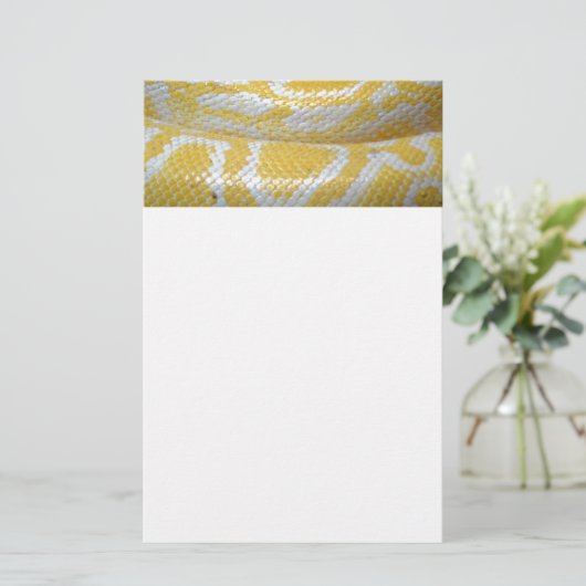 GEEL WITTE BOA SNAKE HUID TEXTURES REPTILES PATT BRIEFPAPIER (Staand voorkant)