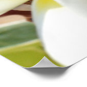 Geel-witte Frangipani Bouquet, Poster (Hoek)