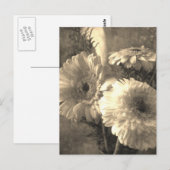 Geel-witte Gerbera en Calla 1 Briefkaart (Voorkant / Achterkant)