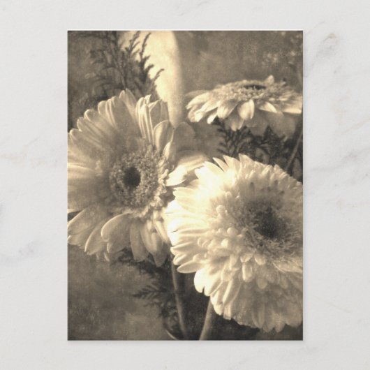 Geel-witte Gerbera en Calla 1 Briefkaart (Voorkant)