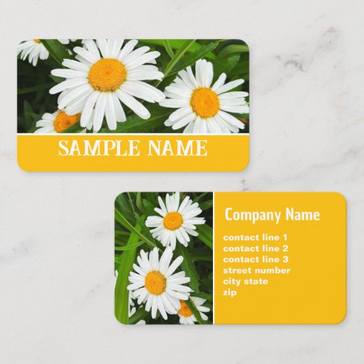  geel-witte madeliefjes bloemenfoto visitekaartje (Voorkant / Achterkant)