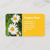  geel-witte madeliefjes bloemenfoto visitekaartje (Achterkant)