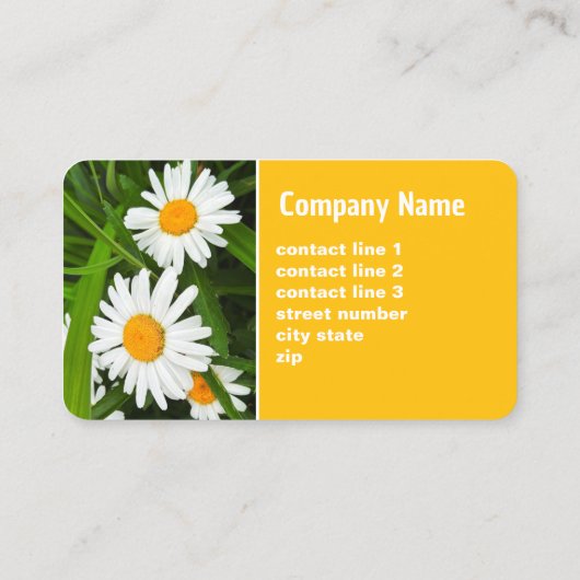  geel-witte madeliefjes bloemenfoto visitekaartje (Achterkant)