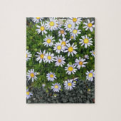 Geel-witte margarita bloemen met grijze keien legpuzzel (Verticaal)