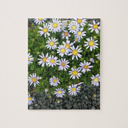 Geel-witte margarita bloemen met grijze keien legpuzzel (Verticaal)