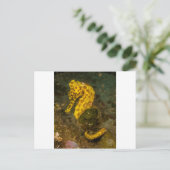 Geel zeepaard briefkaart (Staand voorkant)