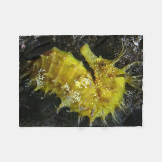 Geel zeepaard | Hippocampus Guttulatus Fleece Deken (Voorkant (Horizontaal))