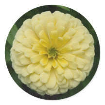 Geel Zinnia Bloem Ronde Stickers