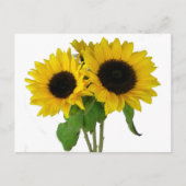 Geel Zonnebloem Blank Bloemen Briefkaart (Voorkant)